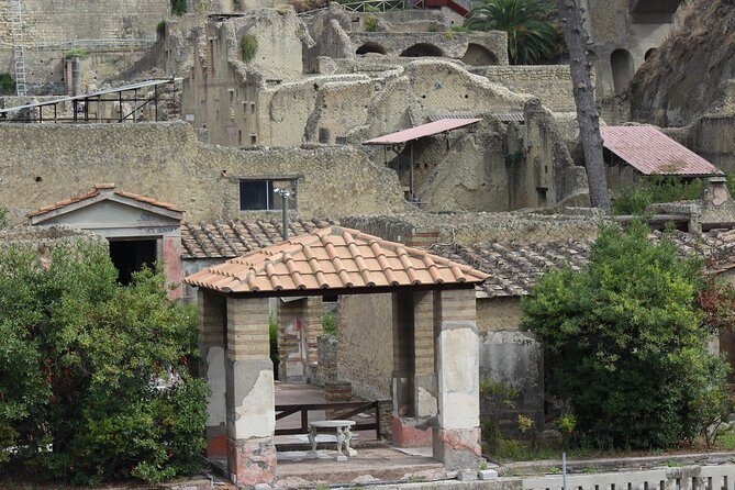 Excavations of Herculaneum. Tour guide and skip-the-line ticket - What You’ll See at Herculaneum