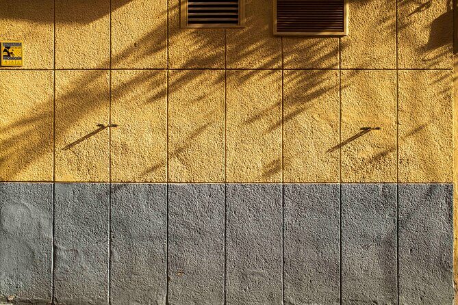 Excellent Private Photography Walking Tour & Workshop in Valencia - FAQ