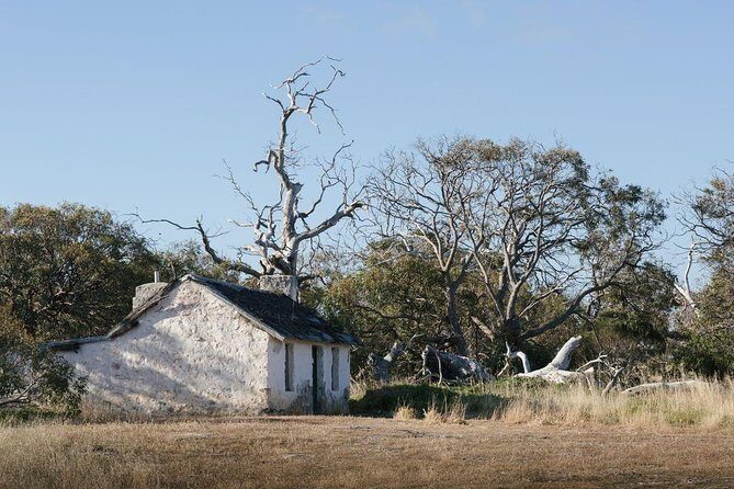 Exceptional Port Lincoln, Seafood and Wildlife Tour - Small Group Dynamics and Personal Touch