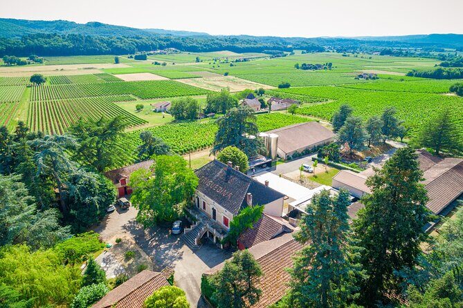 Exceptional visit and tasting of 7 wines - Key Points