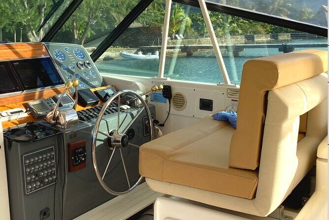 Exceptional whale watching in a Tahiti Yacht - The Experience: What to Expect