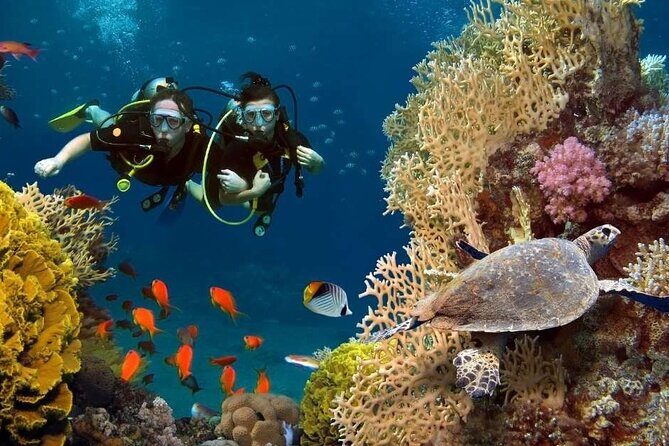 Exciteful Scuba Diving Experience in Antalya - What to Expect from the Antalya Scuba Tour