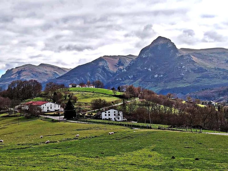 Exclusive Basque countryside - Exploring the Basque Countryside: What to Expect