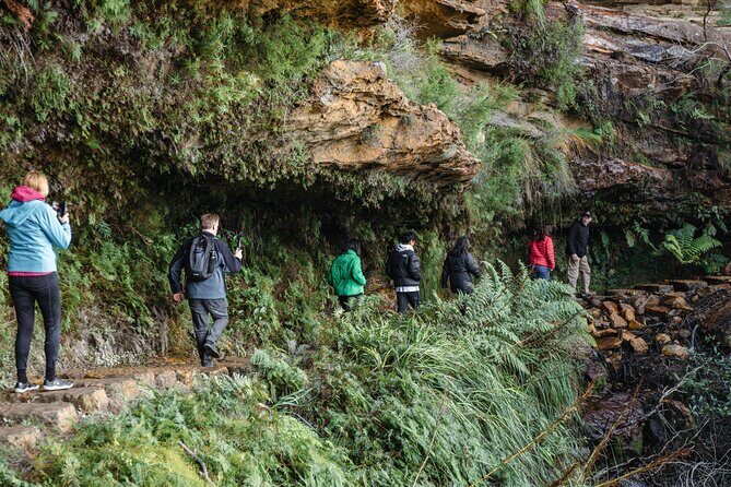Exclusive Blue Mountains Wildlife and Bushwalk Tour From Sydney - Analyzing the Value