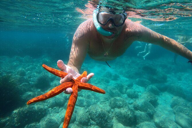 Exclusive boat tour max 9 people tropea capo vatican - Key Points