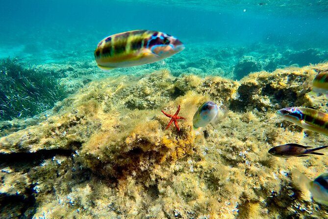 Exclusive boat tour max 9 people tropea capo vatican - The Itinerary and What to Expect