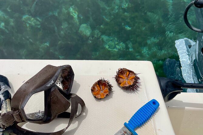 Exclusive boat tour max 9 people tropea capo vatican - FAQs