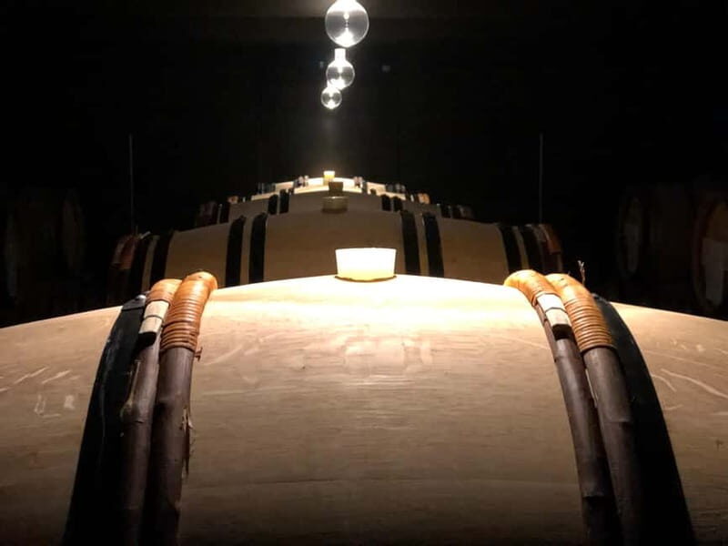 Exclusive Champagne tour: 2 family houses and restaurant - Why This Champagne Tour Stands Out