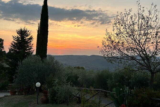 Exclusive Chianti Classico Day Trip from Florence - Unpacking the Experience: What This Tour Offers