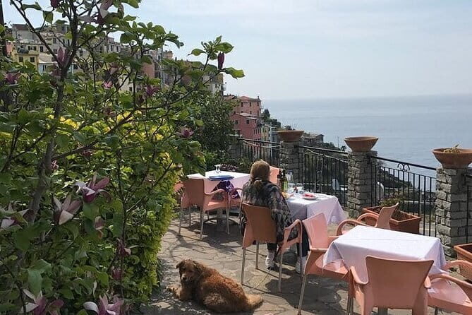 Exclusive Cinque Terre by Ferry with stop in Pisa from Florence - Who Should Consider This Tour?