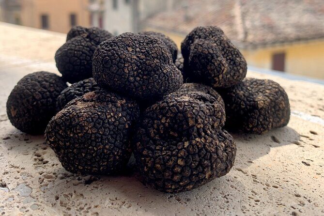 Exclusive Cooking Class: Pasta, Truffle, and Wine tasting - Who Should Book This Experience?