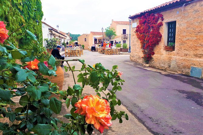 Exclusive Costa Smeralda Sightseeing Tour for 2/3 people - Discovering Sardinia’s North: What You Can Expect