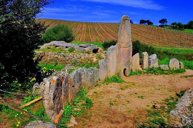 Exclusive Costa Smeralda Sightseeing Tour for 2/3 people - How the Experience Comes Together