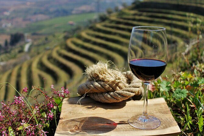 Exclusive Douro Valley: Visit 3 Wineries, 9 Wine Tastings & Lunch - The Logistics and Overall Value