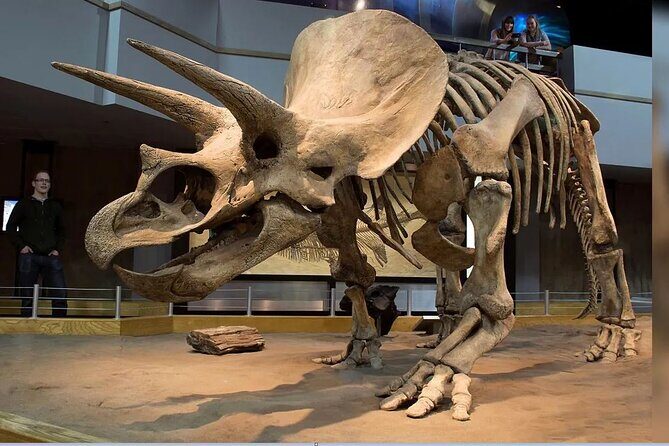 Exclusive Drumheller Private Tour from Calgary - Exploring the Drumheller Private Tour from Calgary: An Honest Overview