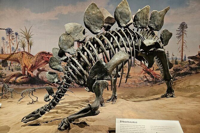 Exclusive Drumheller Private Tour from Calgary - The Experience: What to Expect on the Drumheller Tour