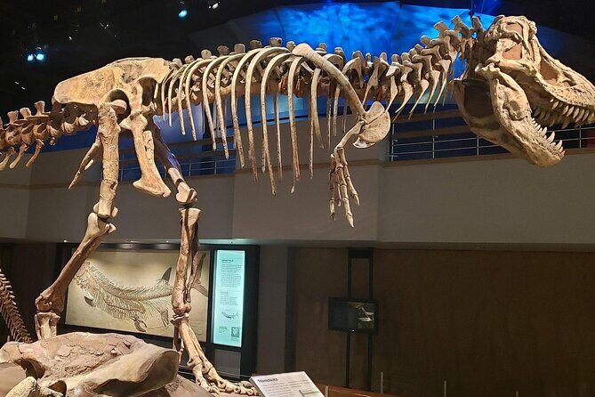 Exclusive Drumheller Private Tour from Calgary - Is This Tour Right for You?