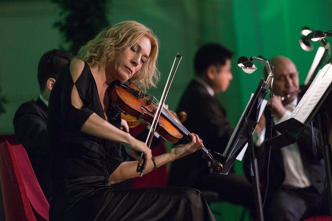 Exclusive Evening at Schönbrunn Palace: After-Hours Audiotour, Dinner, Concert - Authentic Opinions from Travelers