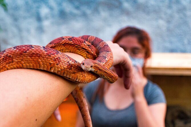 EXCLUSIVE Floating Adventure of Xochimilco - small groups - FAQ