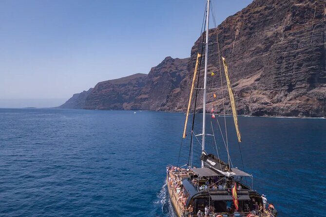 Exclusive Freebird Catamaran Whale & Dolphin to Masca From North - The Value of This Tour