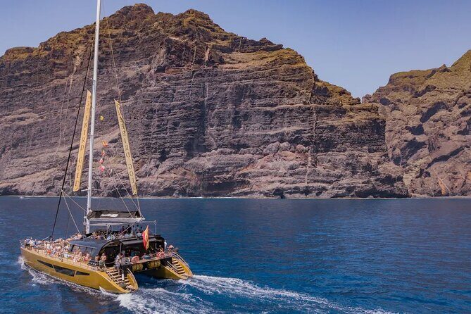 Exclusive Freebird Catamaran Whale & Dolphin to Masca From North - Final Thoughts