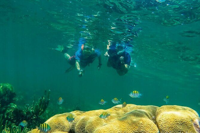 Exclusive Full Day Nature Expedition in Sian Ka'an - Practical Details and Value