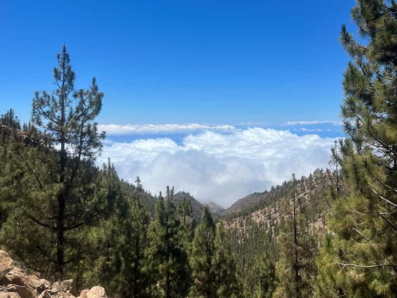 Exclusive hike on Mount Teide with a certified guide - Why Choose This Hike on Mount Teide?