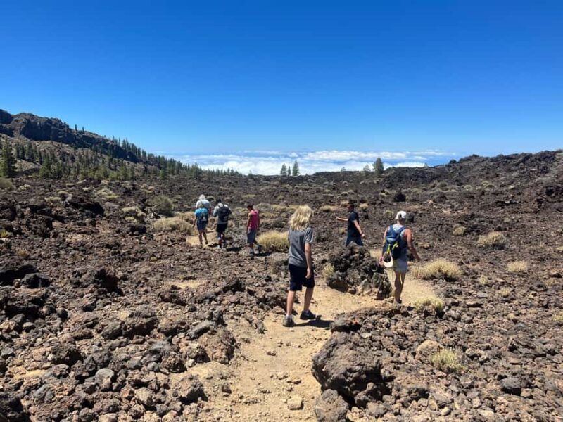 Exclusive hike on Mount Teide with a certified guide - Detailed Look at the Itinerary