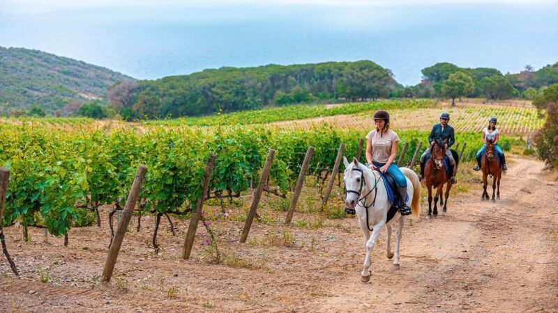 Exclusive Horseback Riding & Wine Tasting from Florence - Cost and Value