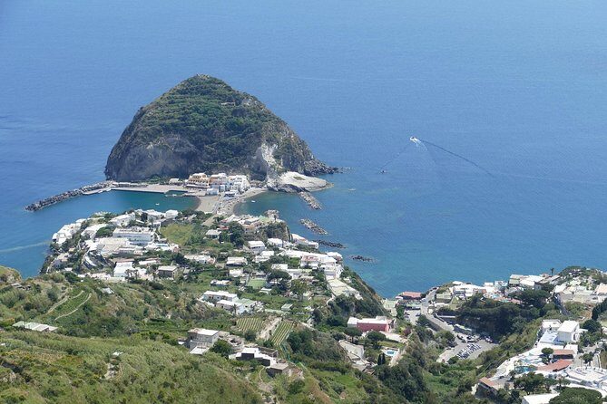 Exclusive Ischia Day Trip & Food Tasting with Top Guide and Driver from Naples - FAQs