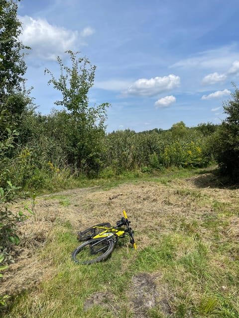 Exclusive Krakow Guide - The Bottom Line: Is This Tour Right for You?