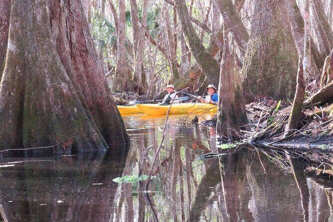 Exclusive Nature Escape Kayak Adventure on Blackwater Creek - What To Expect at Each Stage