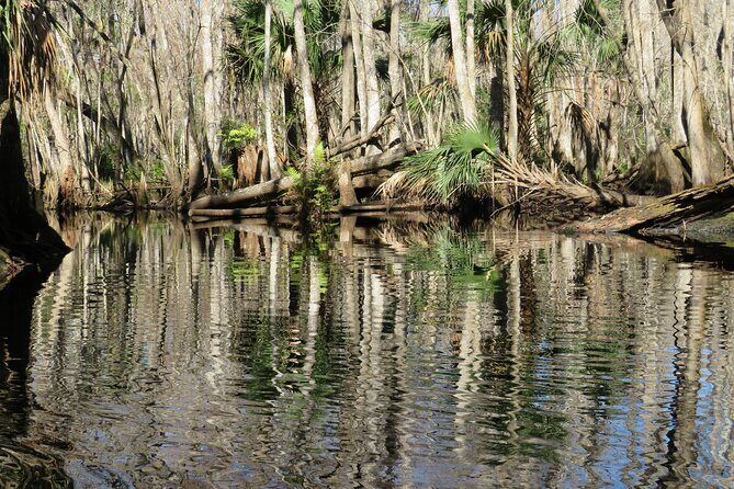 Exclusive Nature Escape Kayak Adventure on Blackwater Creek - FAQs