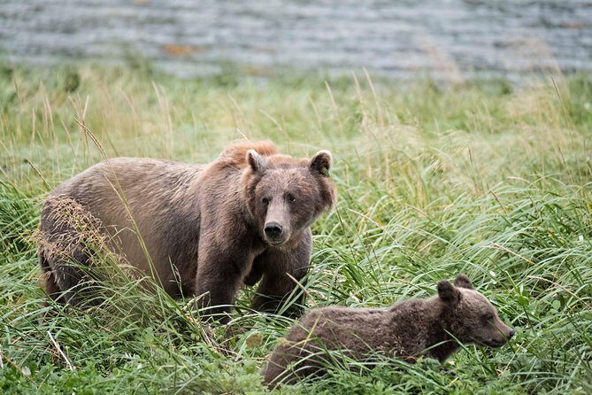 Exclusive Photography Tour to Haines - Skagway Departure - Handling the Logistics
