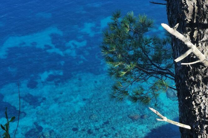 Exclusive Private Boat Tour in Italy - Practical Tips and Considerations