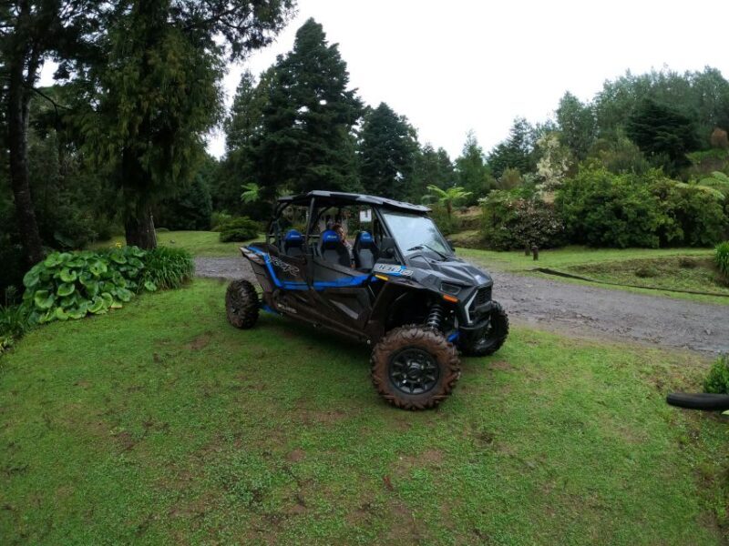 Exclusive Private Buggy Adventure: Forest and Mountains - Exploring Madeira’s Off-Road Terrain and Scenic Highlights