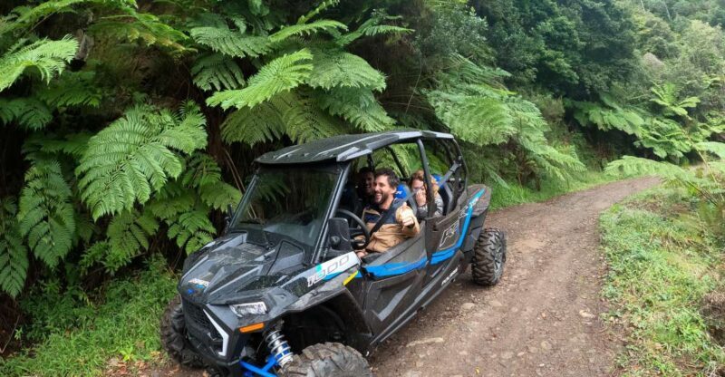 Exclusive Private Buggy Adventure: Forest and Mountains - Who Would Enjoy This Tour?