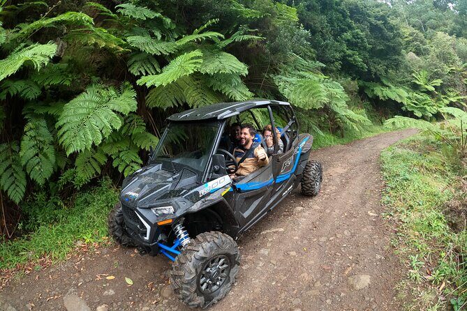 Exclusive Private Buggy Adventure: Forest and Mountains - The Itinerary in Detail