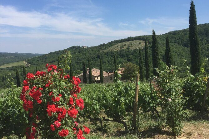 Exclusive Private tour To Siena and San Gimignano - Frequently Asked Questions (FAQs)