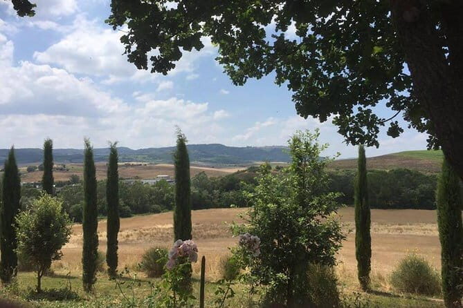 Exclusive Private Tuscany Wine Tour & Food Pairing Session - What’s Included and What’s Not