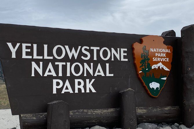 Exclusive Private Yellowstone Adventure: Explore The Lower Loop - An In-Depth Look at the Tour Experience