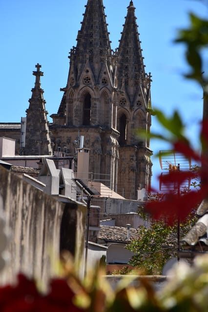 Exclusive Rooftop Paella & Wine Sunset Dining in Palma - Final Verdict