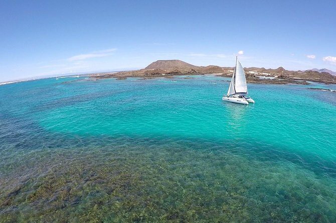 Exclusive Sailing Catamaran Experience to Lobos Island with lunch and drinks - Price and Value