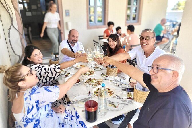 Exclusive Santorini Private Wine Tasting & Greek Lunch Experience - What to Expect from This Santorini Wine & Lunch Tour