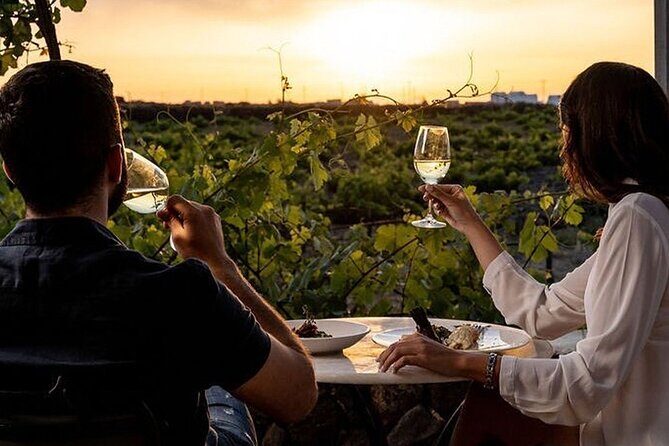 Exclusive Santorini Private Wine Tasting & Greek Lunch Experience - Anhydrous Winery: A Modern Take with Stunning Views