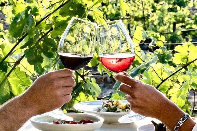 Exclusive Santorini Private Wine Tasting & Greek Lunch Experience - What Travelers Say: Authentic Experiences That Matter