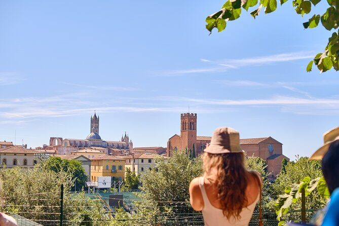 Exclusive Siena and San Gimignano Tour & Chianti Wine Experience - FAQs: Practical Questions About the Tour