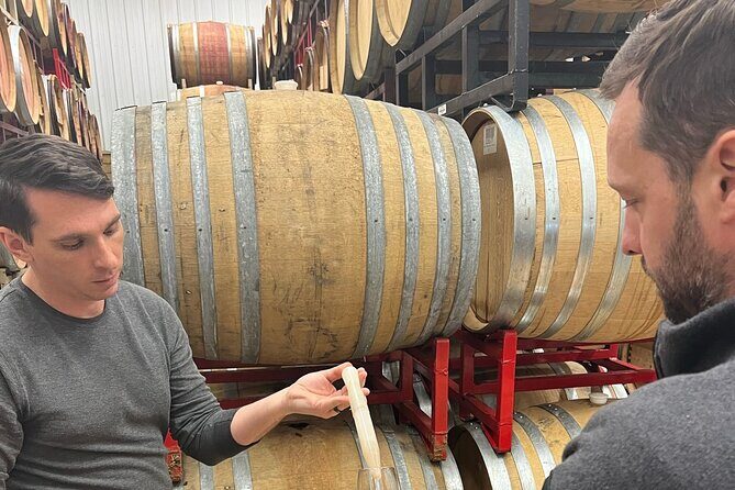 Exclusive Small Group Virginia Winery Tour with a Sommelier - Who Should Consider This Tour?