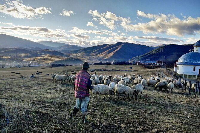 Exclusive Tour: Corvin Castle, Alba Iulia and traditional villages from Sibiu - The Value of a Guided Private Tour