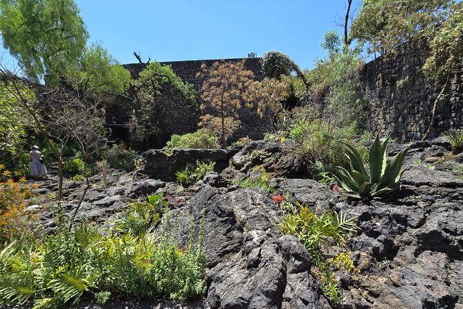 EXCLUSIVE TOUR Luis Barragán - Casa Pedregal - Frequently Asked Questions